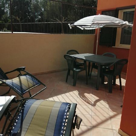 Joli Appartement En Corse Avec Piscine Belgodère Dış mekan fotoğraf